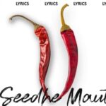 TT / Shutdown Song Lyrics - Seedhe Maut | Hindi Song (2024)