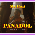 Panadol Song Lyrics - Mr Eazi | English Song (2024)