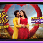 Tum Jo Mile Ho Song Lyrics - Vicky Vidya Ka Woh Wala | Movie (2024)