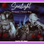 Sunlight Song Lyrics - MC Insane & Taimour Baig | Hindi Song (2024)