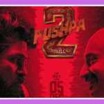 Dum Hai To Rok Ke Bata Song Lyrics - Shreyas Talpade | Pushpa 2 The Rule (2024)