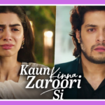 Kaun Kinna Zaroori Si Song Lyrics - Vishal Mishra | Loveyapa (2025)